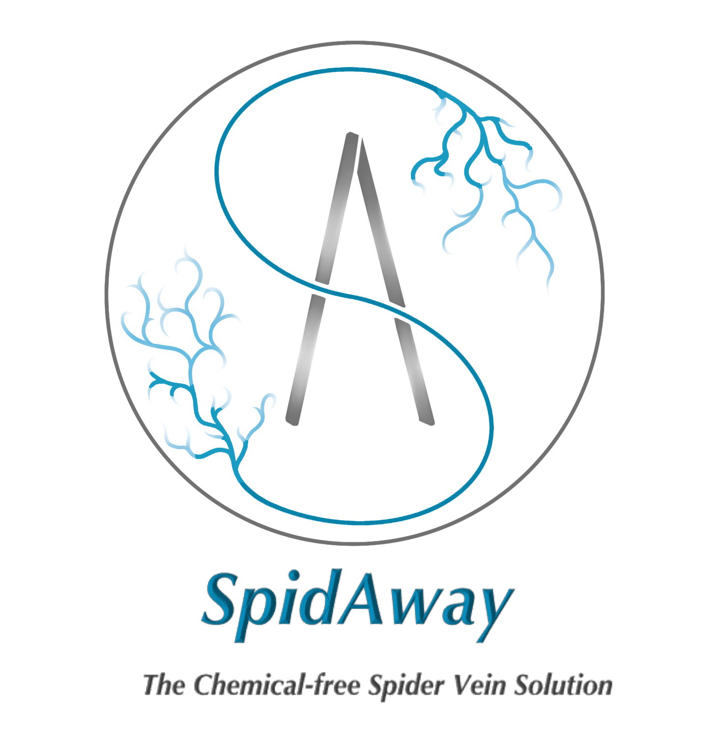 logo-spidaway